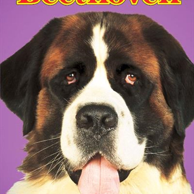 Beethoven Big Face DVD