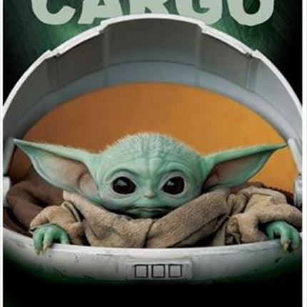 Star Wars: The Mandalorian - Precious Cargo