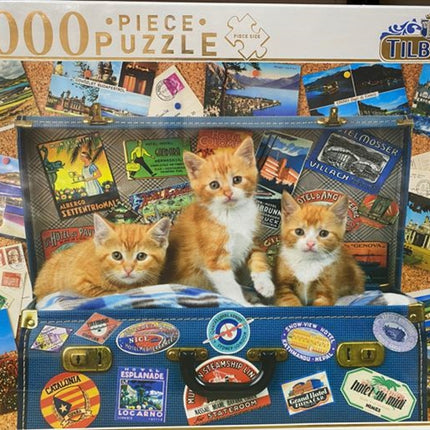 Kittens In Suitcase Comical Animals 1000 Piece Puzzle