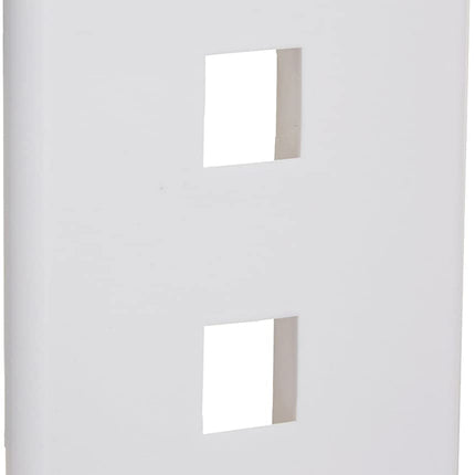 2 Port QuickPort outlet Wall Plate face plate, two Gang White