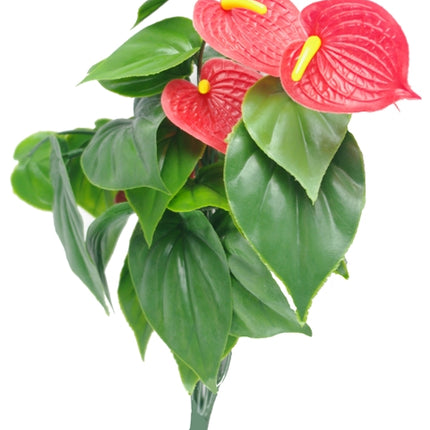 Red Anthurium Bunch UV