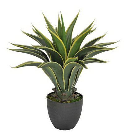 Artificial Agave 60cm