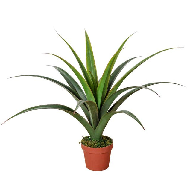 Artificial Dracaena Plants 80cm