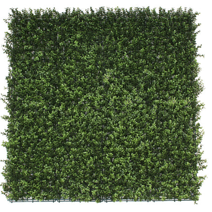 Premium Natural Buxus Hedge Panels UV Resistant 1m x 1m