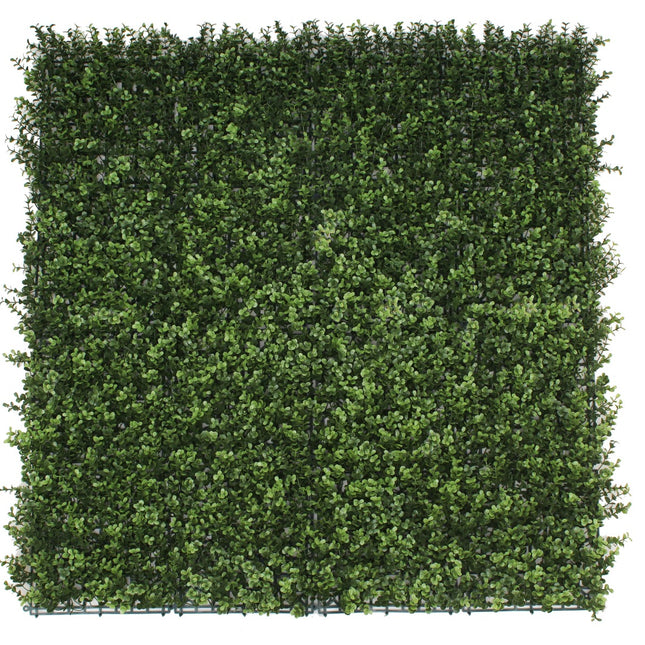 Premium Natural Buxus Hedge Panels UV Resistant 1m x 1m