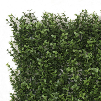 Premium Natural Buxus Hedge Panels UV Resistant 1m x 1m