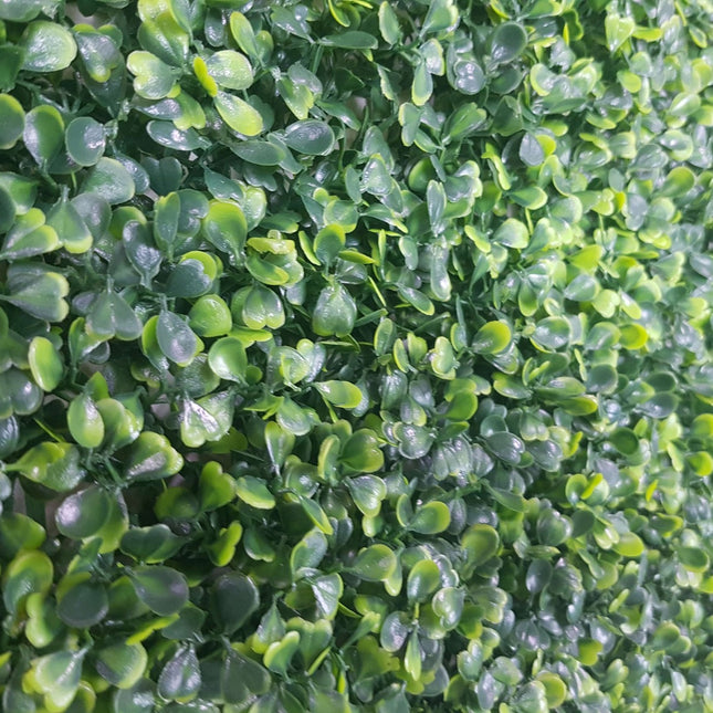 Mixed Boxwood Hedge Panels / Screens UV Resistant 1m x 1m