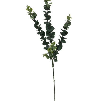 5 Pack - Long Eucalyptus Stem 77 cm