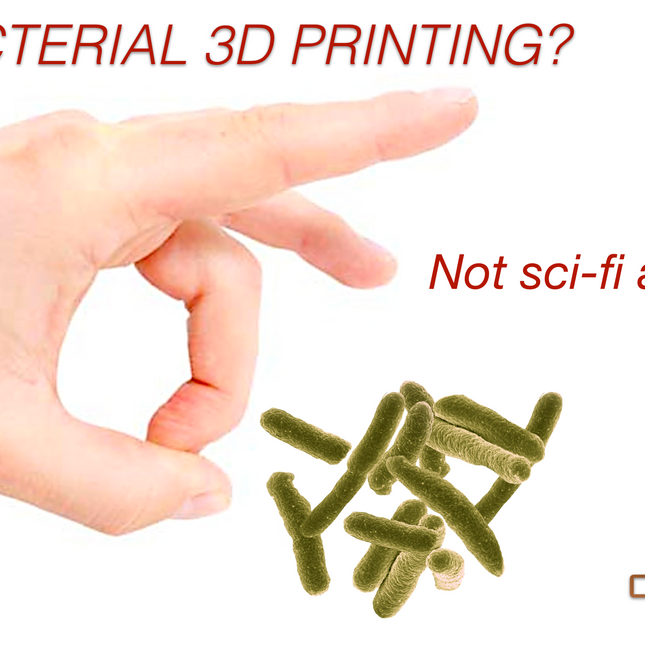 TPU Filament MD FLEX 1.75mm 500 gram Natural 3D Printer Filament