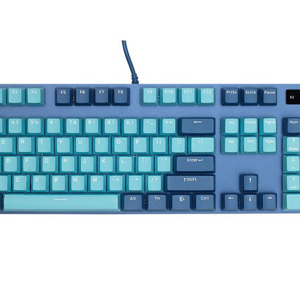RAPOO V500 Pro Backlit Mechanical Gaming Keyboard - Spill Resistant, Metal Cover, Ideal for Entry Level Gamers--Cyan Blue