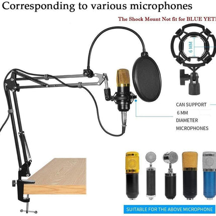 Microphone Radio Broadcasting Stand with 3/8"to 5/8" Screw Adapter and Windscreen Pop Filter
