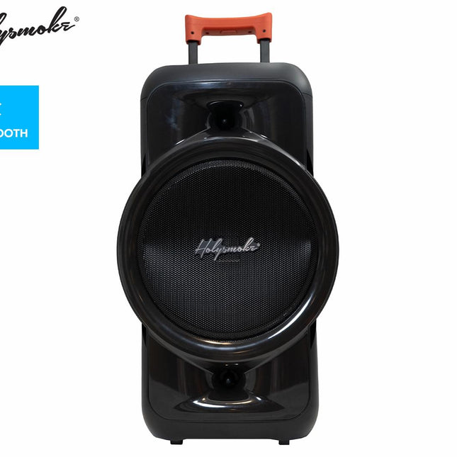 Holysmoke Raphe Bluetooth TWS Party Speaker 12" Portable