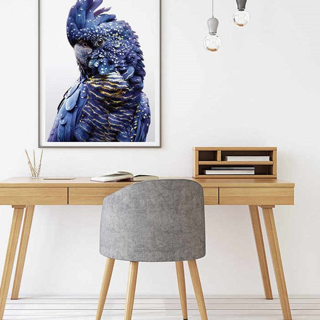 50cmx70cm Black Cockatoo A Black Frame Canvas Wall Art