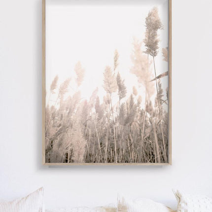 40cmx60cm Pampas Grass 2 Sets Wood Frame Canvas Wall Art