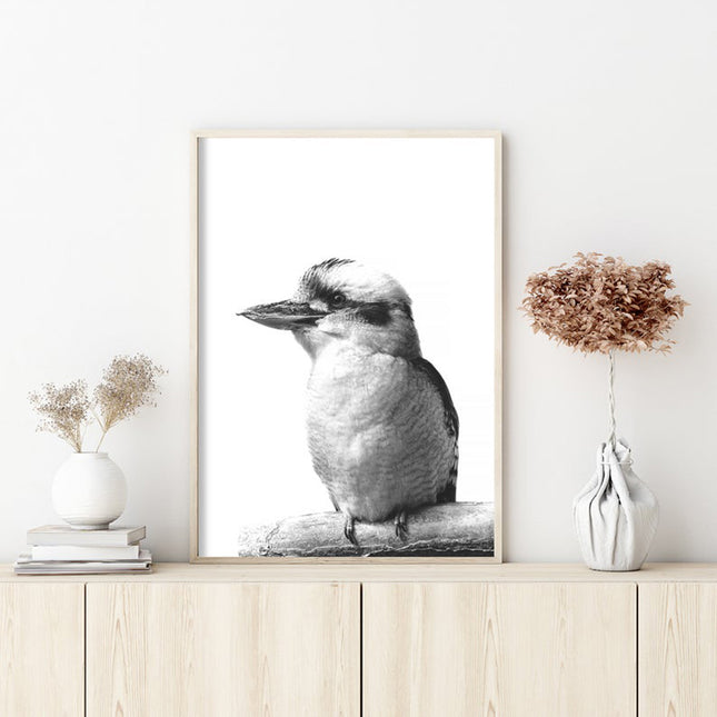 50cmx70cm Kookaburra Black Frame Canvas Wall Art