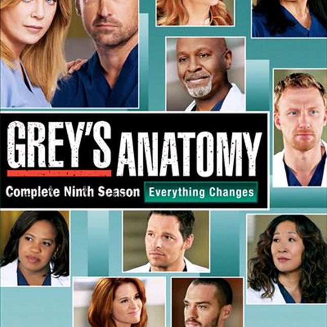 Grey's Anatomy - Season 09 DVD