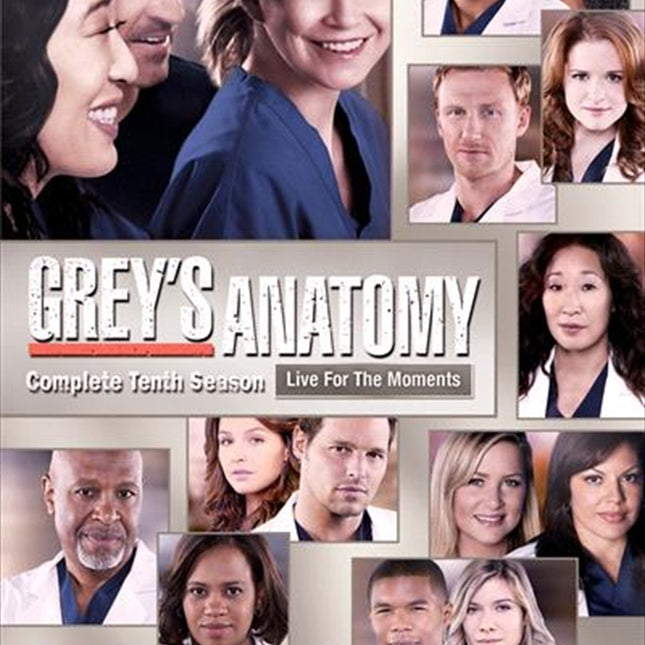 Grey's Anatomy - Season 10 DVD