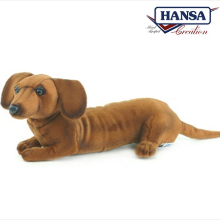 Dachshund Pup 40cm