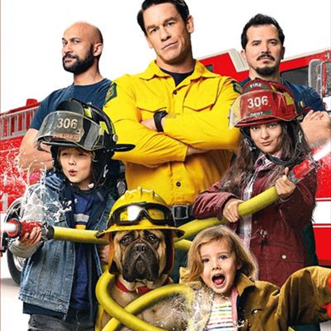 Playing With Fire DVD