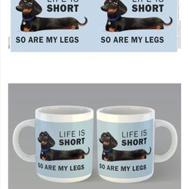Secret Life Of Pets 2 - Life's Short