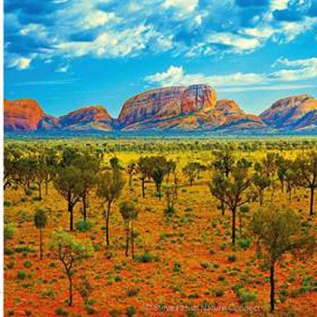 Uluru Kata Tjuta National Park 1000 Piece Puzzle