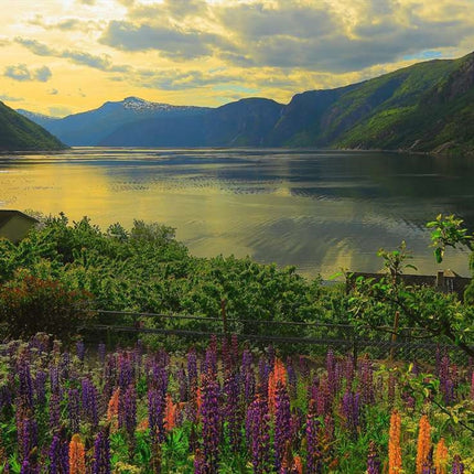 Fjord In Norway Puzzle 1000 Piece Puzzle