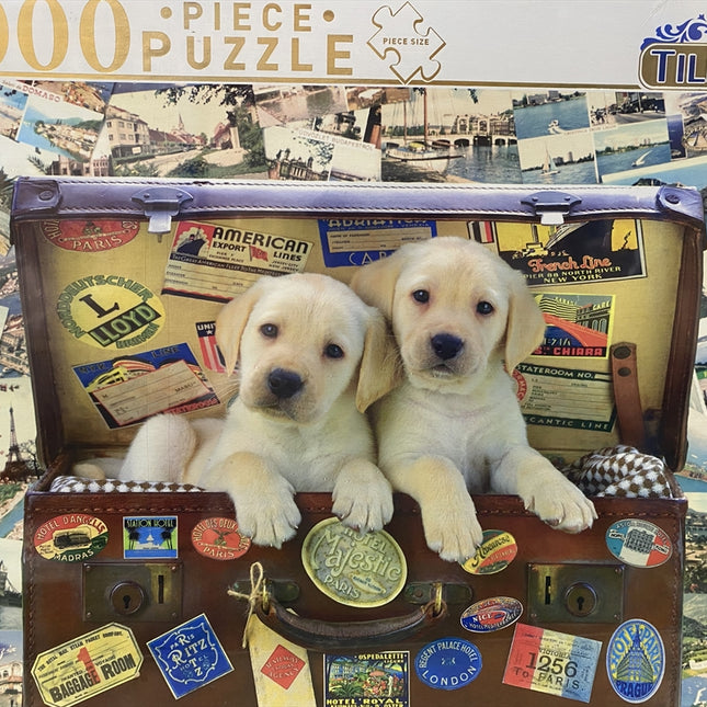 Puppies In Suitcase - 1000 Piece Puzzle