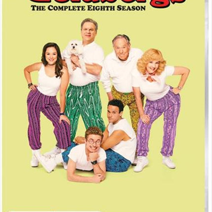 Goldbergs - Season 8, The DVD