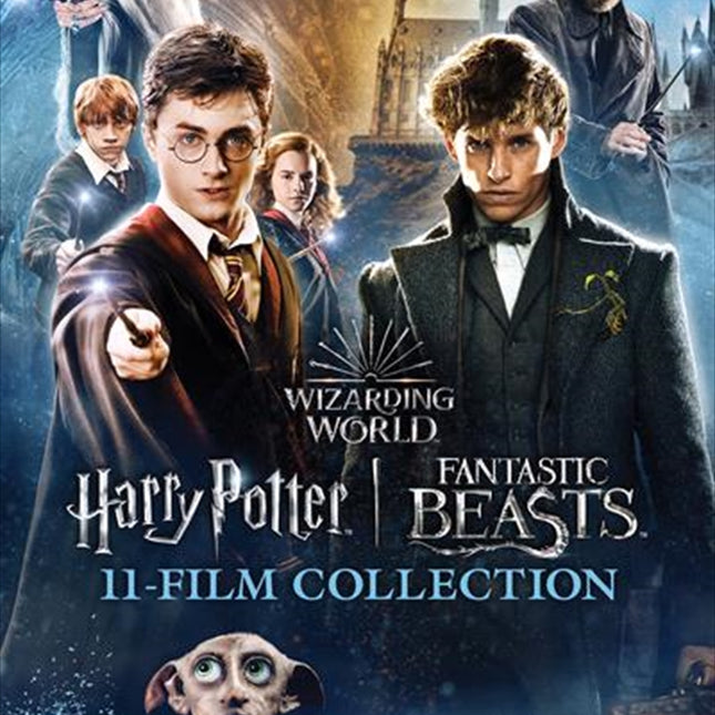 Harry Potter / Fantastic Beasts | 11 Film Collection DVD