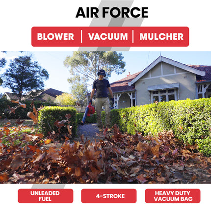 Baumr-AG Petrol Leaf Blower Vacuum 4 Stroke - Vac Garden Commercial Hand Outdoor