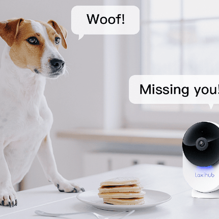 Laxihub 5G Indoor Home Security Camera 1080P FHD Minicam