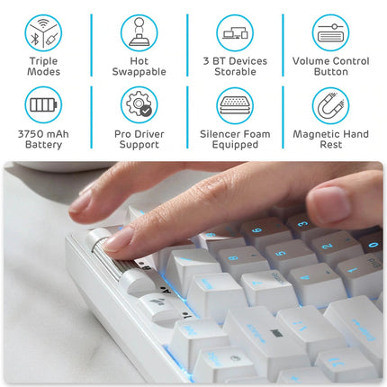 Royal Kludge RK96 Wired Tri Mode Bluetooth RGB Hot Swappable Mechanical Keyboard White (Brown Switch)