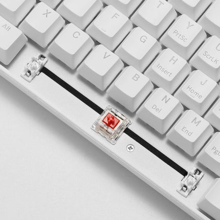 Royal Kludge RK96 Wired Tri Mode Bluetooth RGB Hot Swappable Mechanical Keyboard White (Brown Switch)