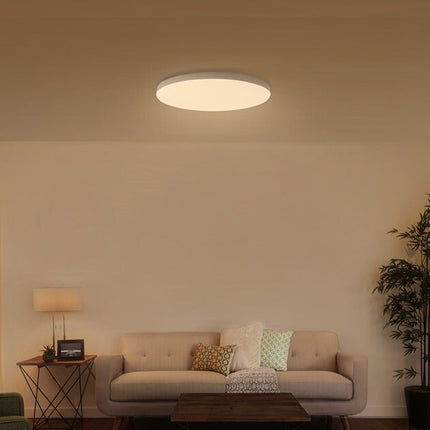Xiaomi Mi Smart LED Ceiling Light (450mm) BHR4118GL (G)