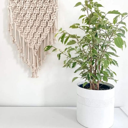 Tree Stripes Cylinder Pot Kilima - Chalk (Large)