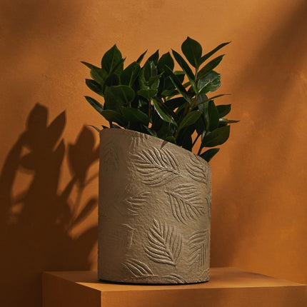 Tree Stripes Hi-Lo Pot Palms - Light Brown (Medium)