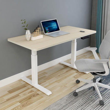 120cm Standing Desk Height Adjustable Sit Grey Stand Motorised Dual Motors Frame Birch Top