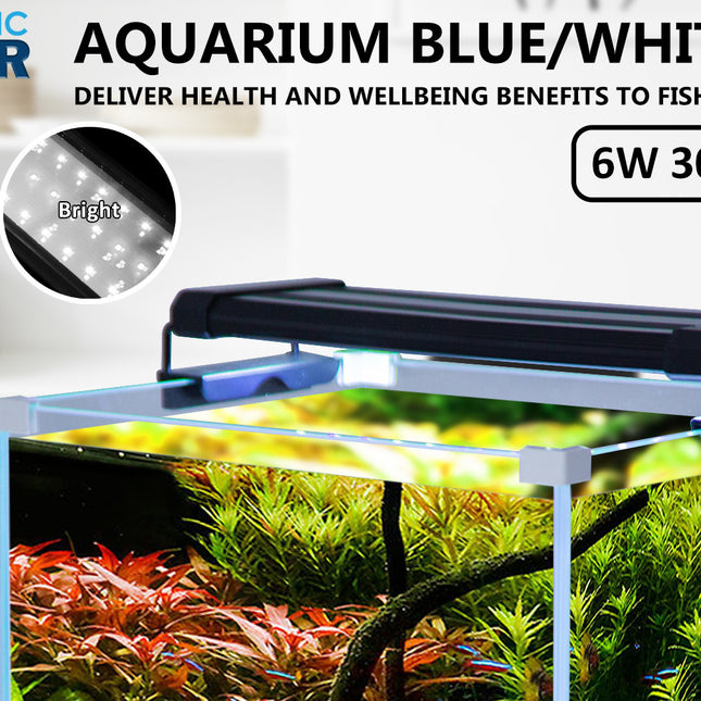 Dynamic Power 6W Aquarium Blue White LED Light for Tank 30-50cm