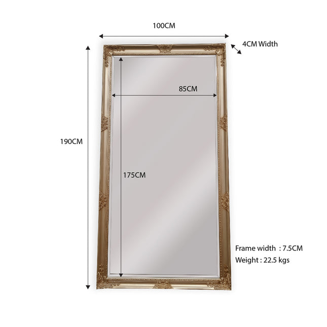 French Provincial Ornate Mirror - ANTIQUE CHAMPAGNE - X Large 100cm x 190cm