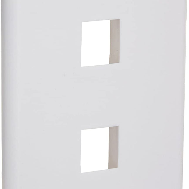 2 Port QuickPort outlet Wall Plate face plate, two Gang White