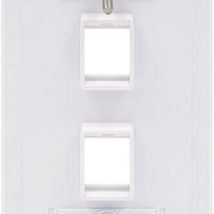 2 Port QuickPort outlet Wall Plate face plate, two Gang White