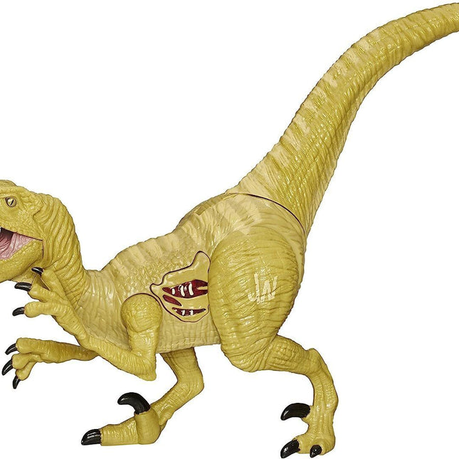Hasbro Jurassic World Growler Velociraptor Echo Dinosaur with Sound and Lights