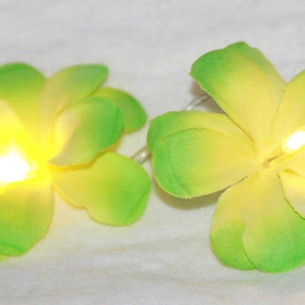 1 Set of 20 LED Green Frangipani Flower Battery String Lights Christmas Gift Home Wedding Party Decoration Outdoor Table Garland Wreath