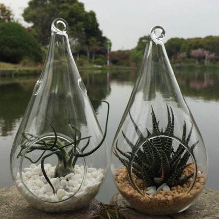 4 Pack of Hanging Clear Glass Tealight Candle Holder Tear Drop Pear Shape - 12cm High - Terrarium Plant Mini Garden Holder Decor