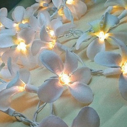 1 Set of 20 LED White Frangipani Flower Battery String Lights Christmas Gift Home Wedding Beach Party Decoration Outdoor Table Centrepiece