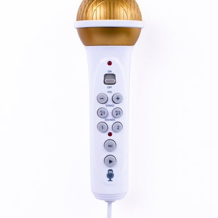 Singing Machine Big Pand