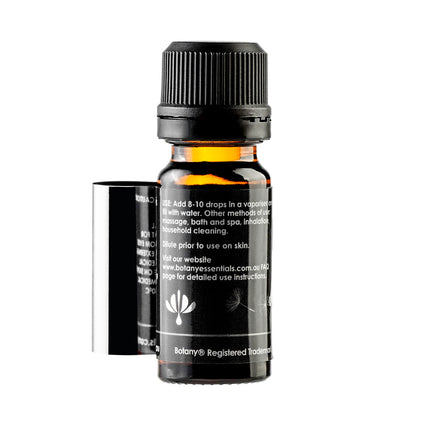 CAJEPUT (Melaleuca cajeput) - 100ml