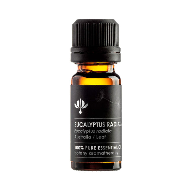 EUCALYPTUS RADIATA (Eucalyptus radiata) - 12ml