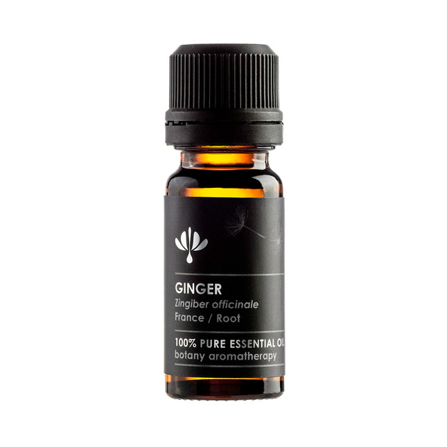 GINGER (Zingiber officinale) - 12ml