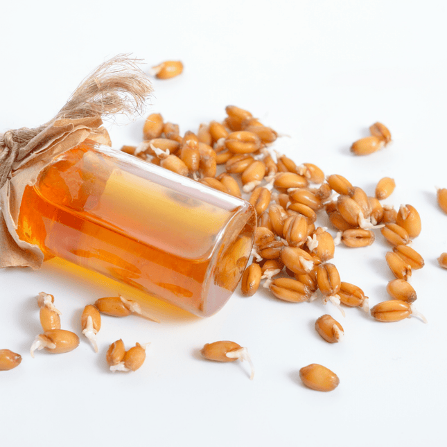 WHEATGERM OIL - 1 L
